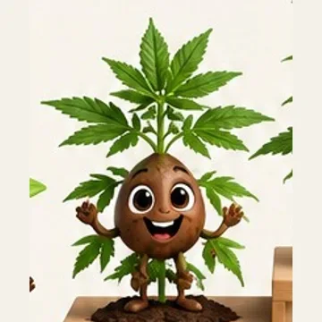 Planta em crescimento, com folhas abertas